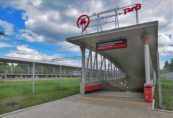 выход в лес
