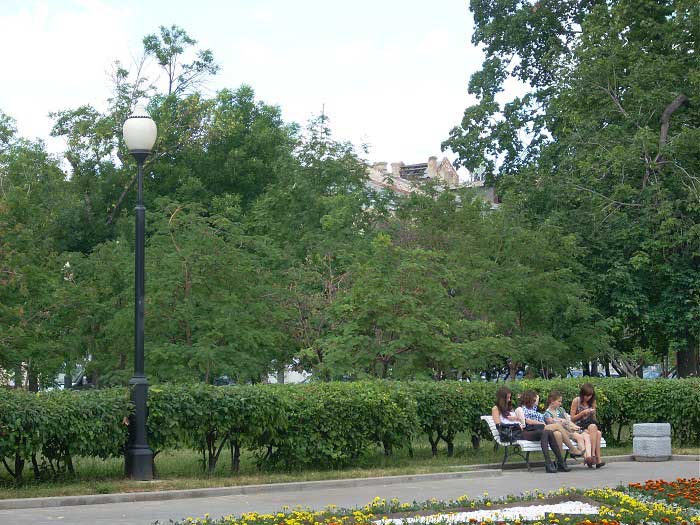 скамейки в тени деревьев