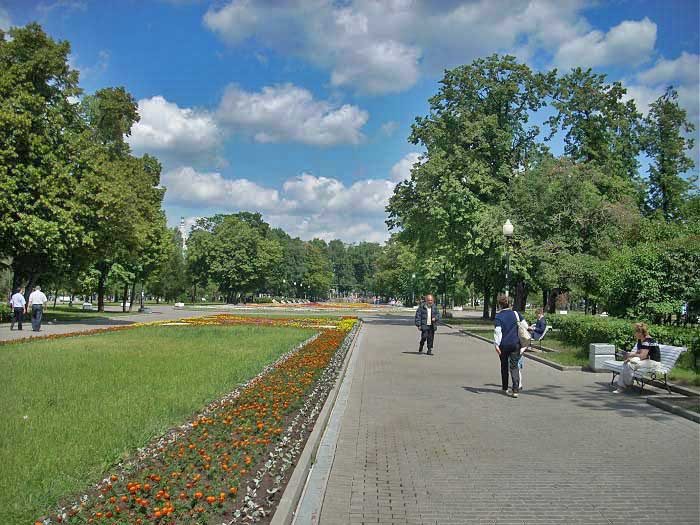 аллея парка