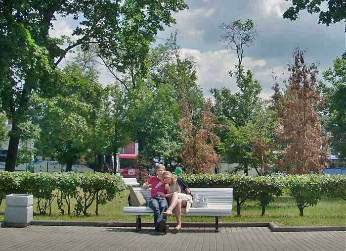 влюбленные на скамейке