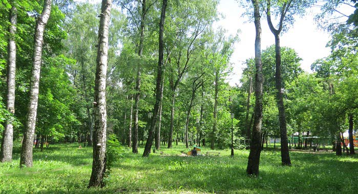 Черкизовский парк