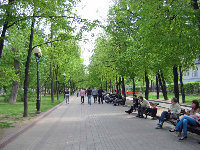зеленая аллея