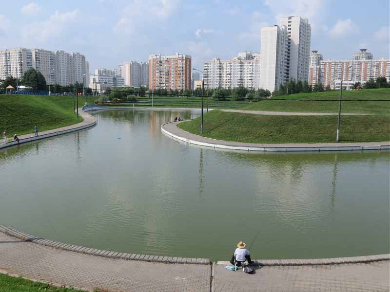 Пруд в Дюссельдорфском парке