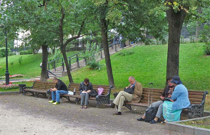 аллея парка