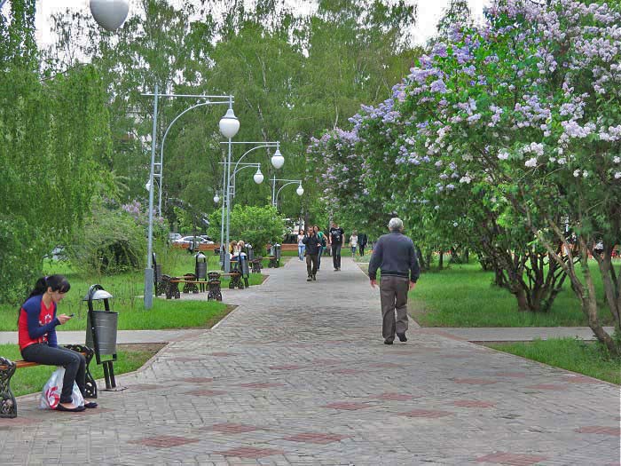аллеи парка