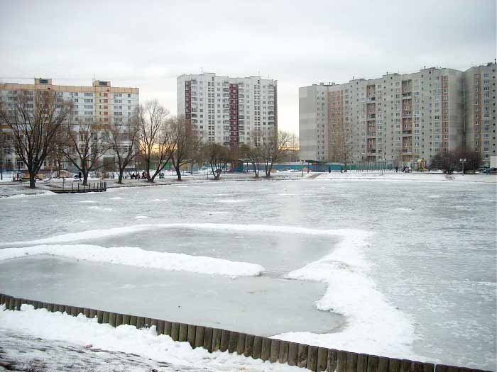 Пруд на Ясном зимой