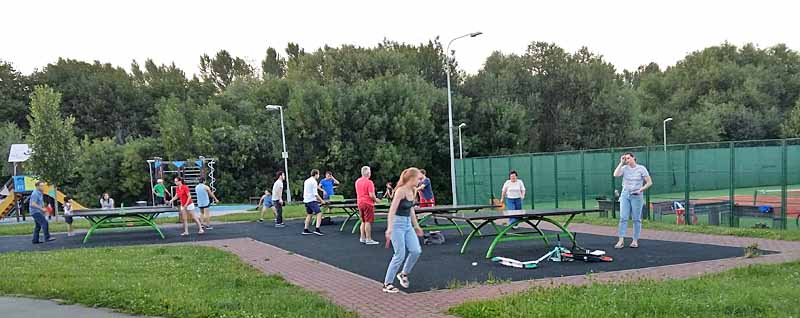 настольный теннис