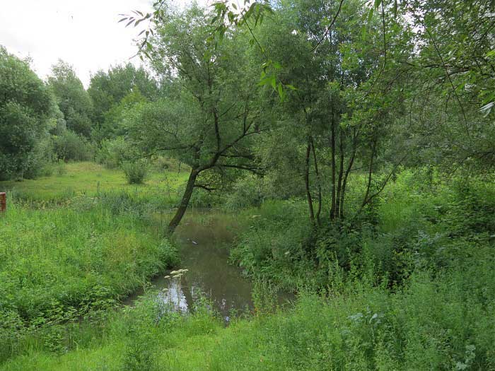 река Яуза