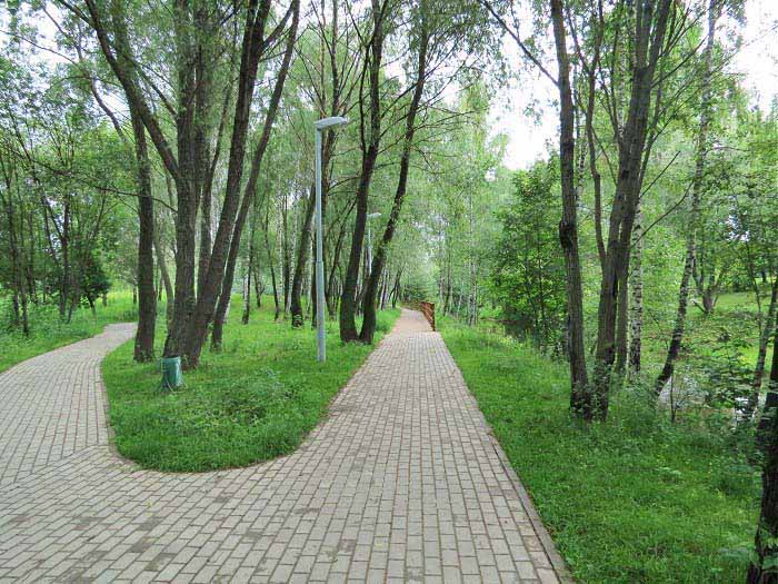 развилка дороги