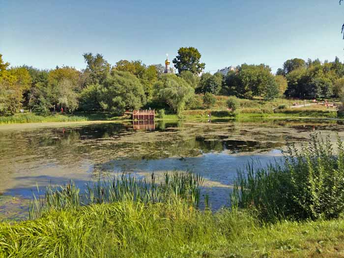 панорама пруда
