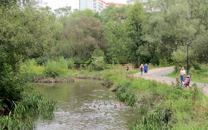 пейзаж парка Свиблово
