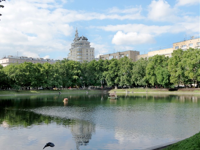 Панорама пруда